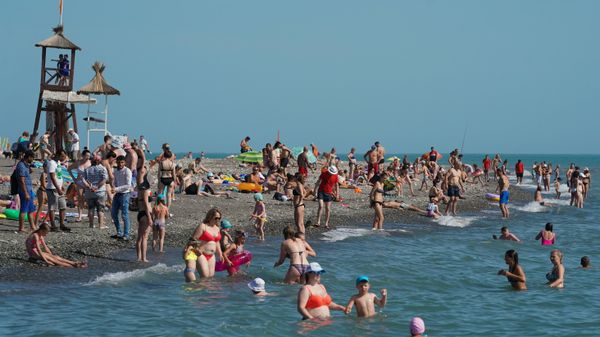 Отдых в Сочи