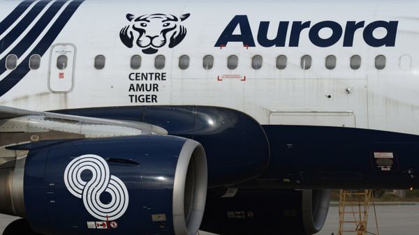 Самолет Airbus А319 дальневосточной авиакомпании Аврора в аэропорту Владивостока