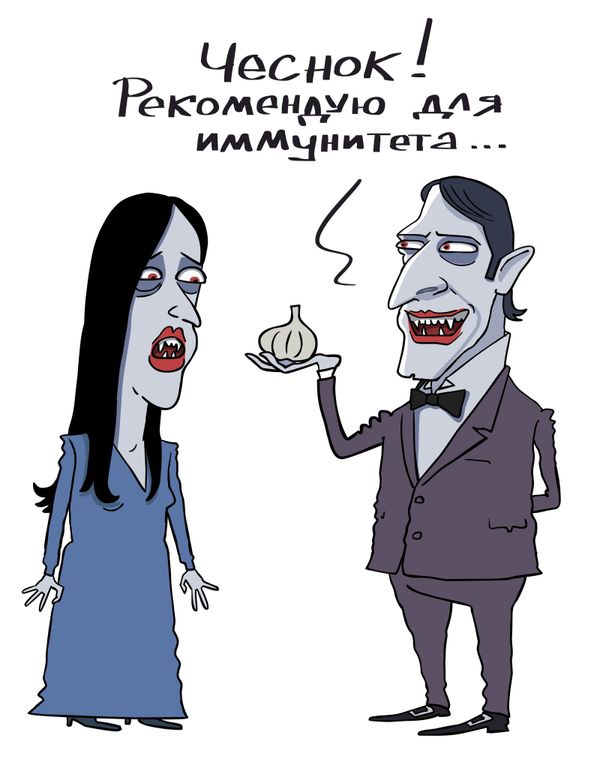 Чеснок укрепляет иммунитет