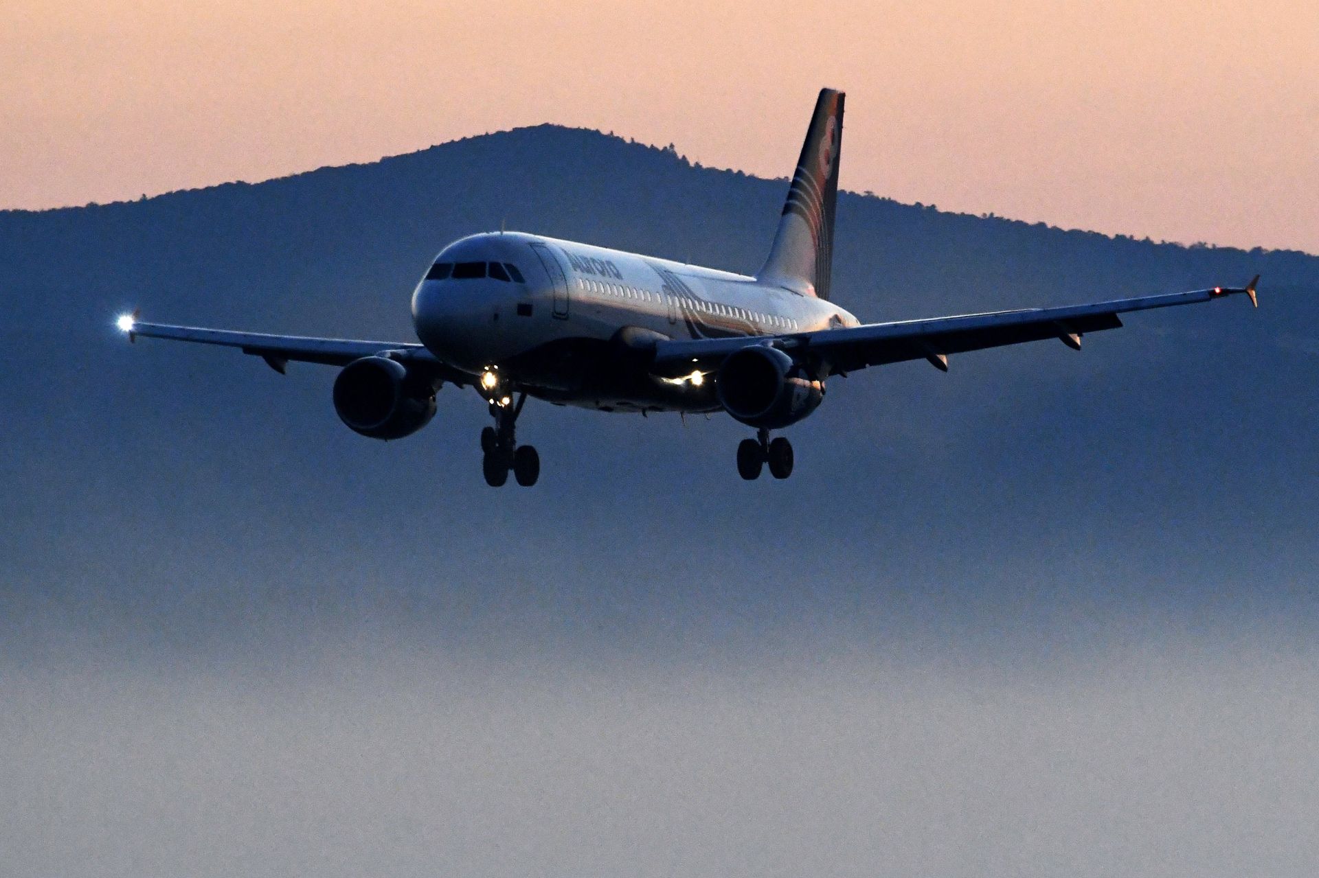 Самолет авиакомпании Аврора Airbus A319 во время посадки в международном аэропорту Владивосток - ПРАЙМ, 1920, 29.10.2022
