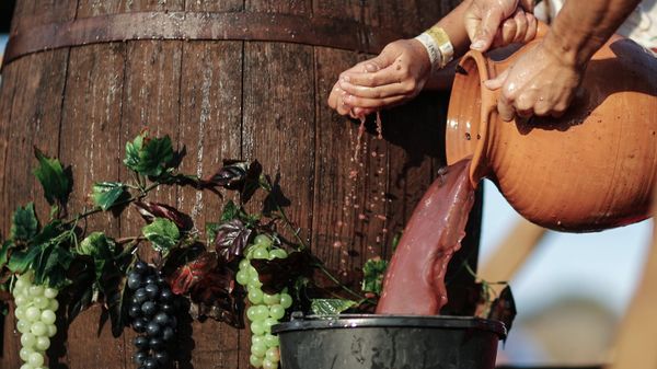 Фестиваль сбора урожая и виноделия WineFest-2020