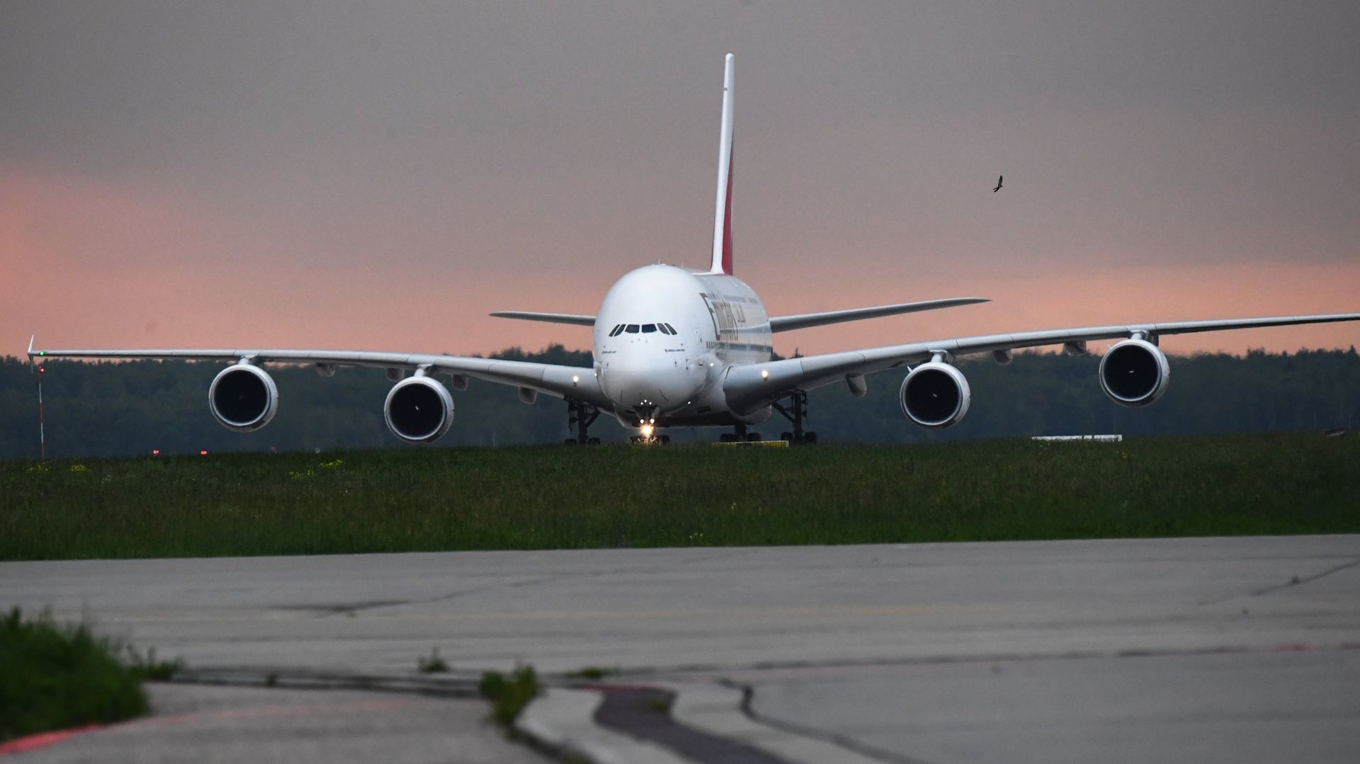 Самолет авиакомпании Emirates на взлетно-посадочной полосе аэропорта Домодедово - ПРАЙМ, 1920, 25.01.2022