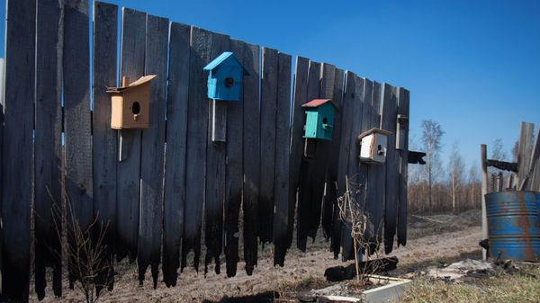 Последствия пожаров в Тюменской области