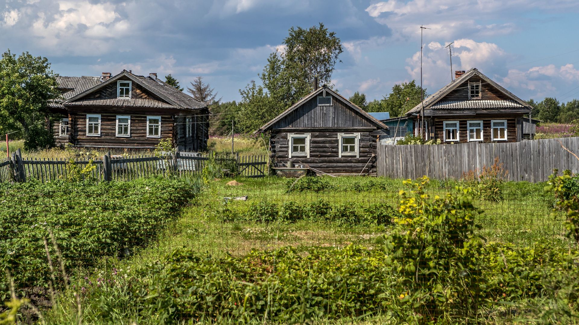 Дома в селе Вирма Беломорского района Карелии - ПРАЙМ, 1920, 10.07.2021
