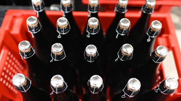 Производство винной продукции