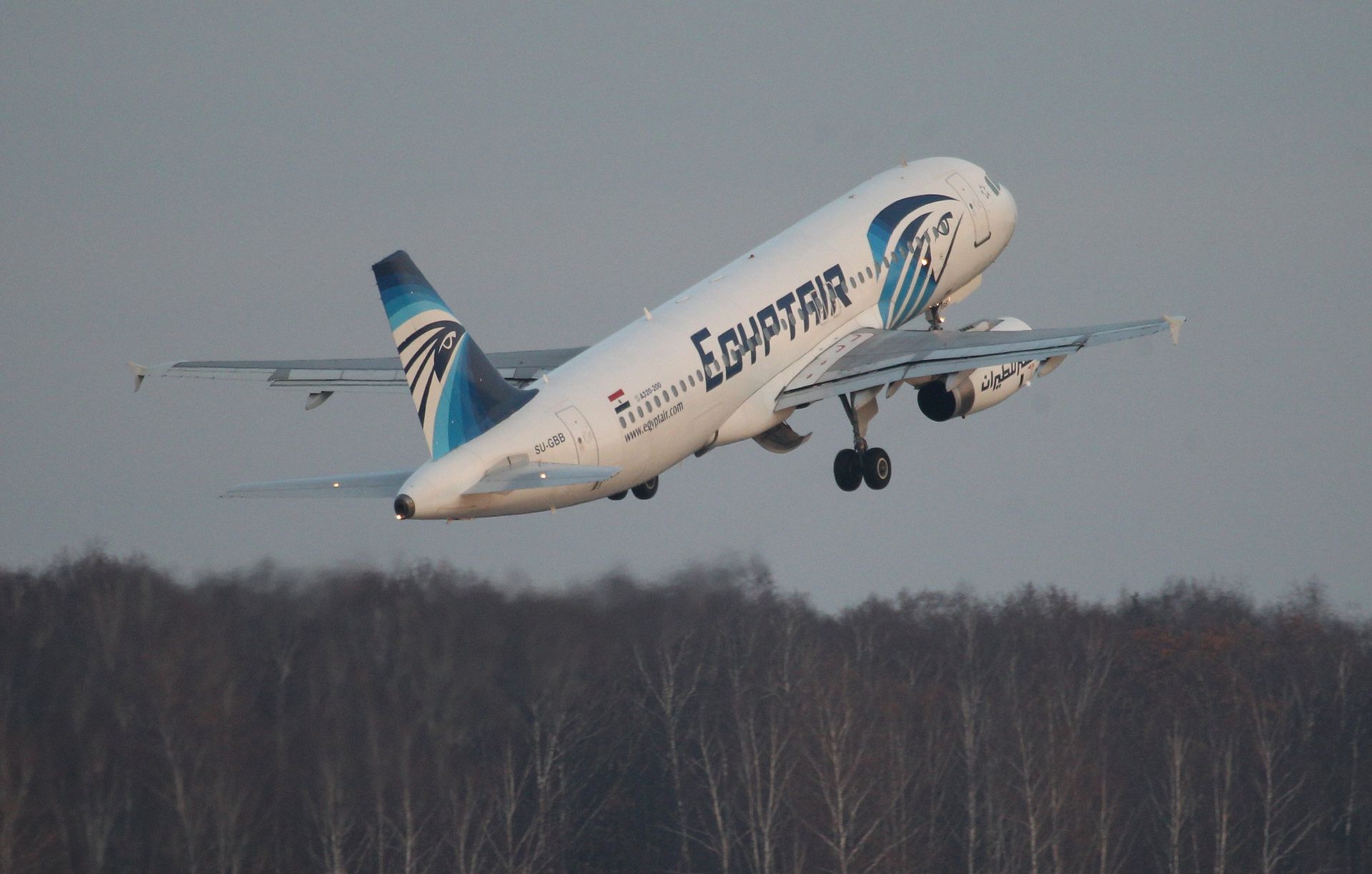 Самолет авиакомпании Egypt Air. - ПРАЙМ, 1920, 04.02.2022