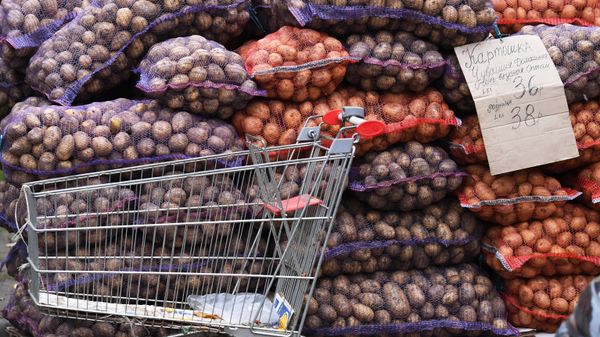 Уличная продажа картофеля в Казани