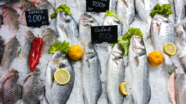 Витрина с охлажденными морепродуктами в гипермаркете Метро