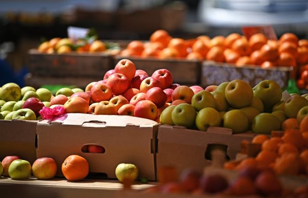 Продуктовая ярмарка в Сочи