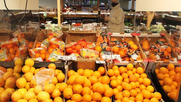 Апельсины на полках в магазине Перекресток