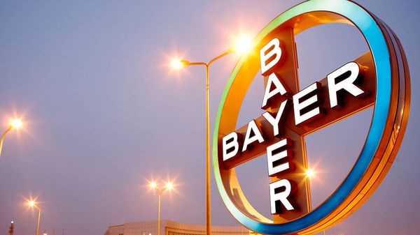 Bayer Bayer