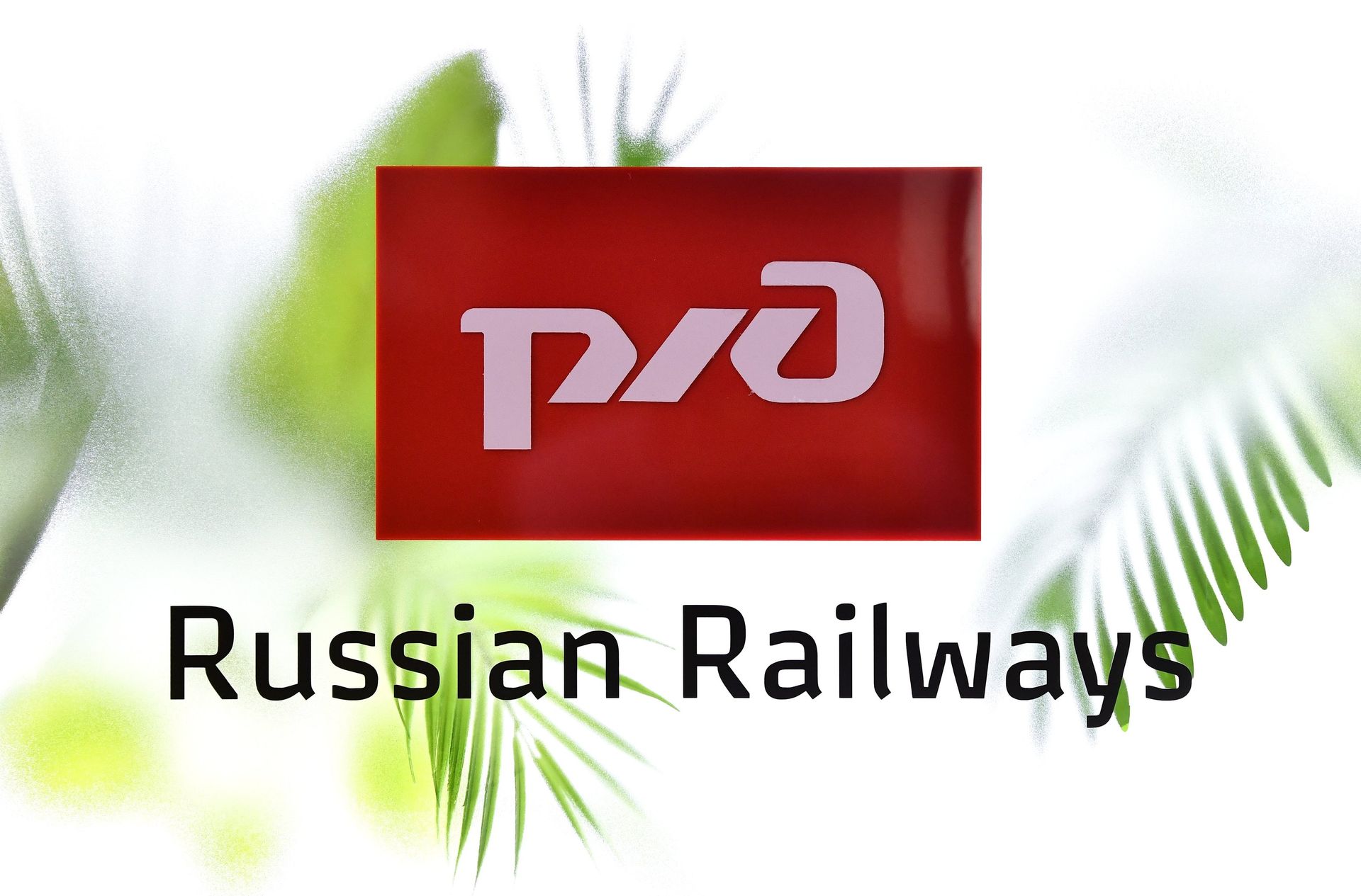 ПМЭФ-2022. Работа форума. День четвёртый - ПРАЙМ, 1920, 10.11.2022