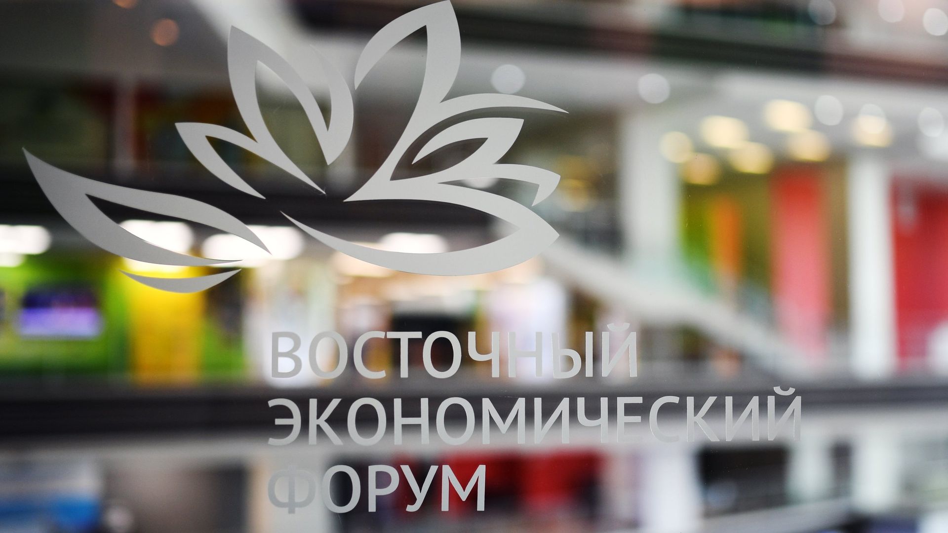 Подготовка к ВЭФ-2022 Подготовка к ВЭФ-2022 - ПРАЙМ, 1920, 04.09.2022