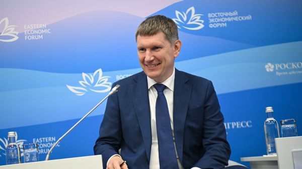 Министр экономического развития РФ Максим Решетников