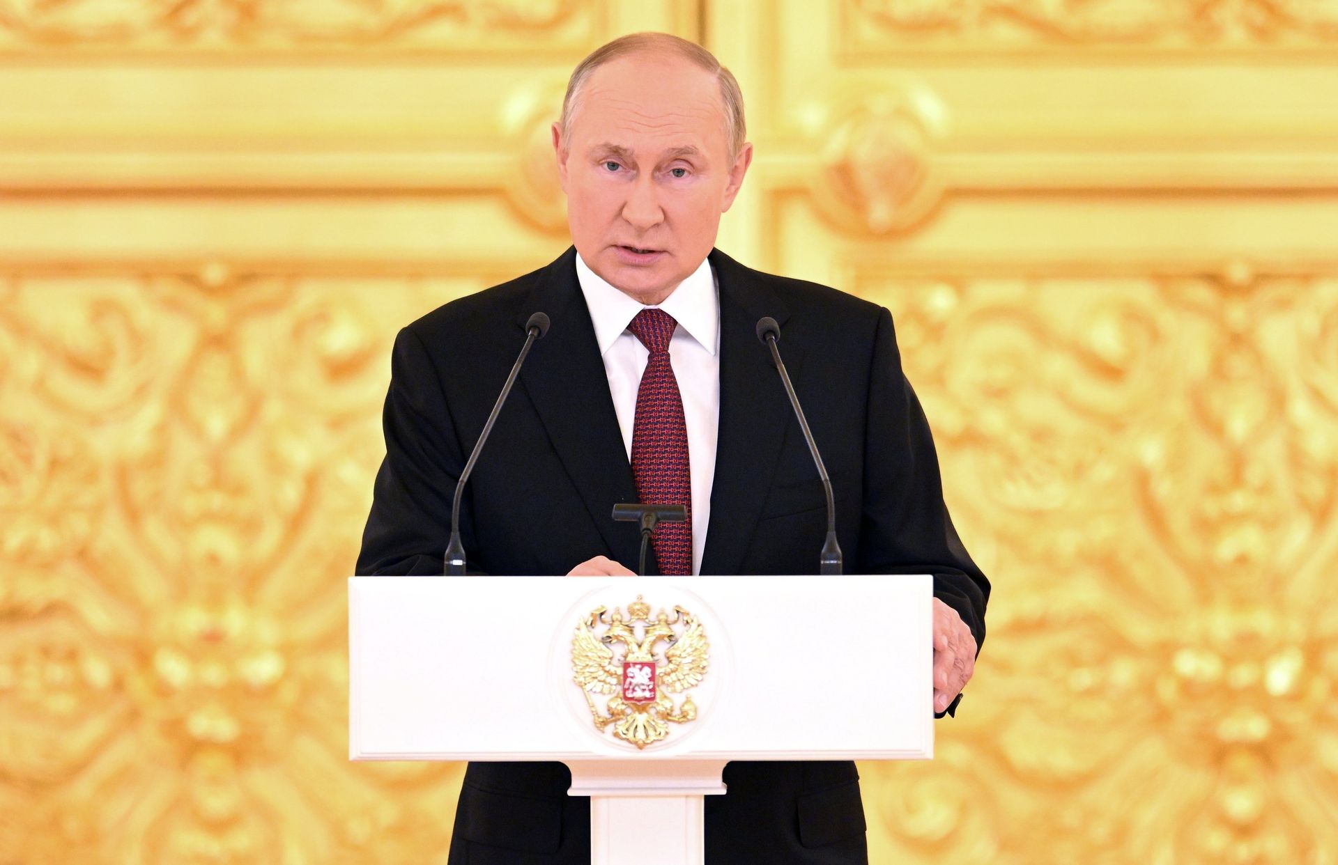 Президент РФ В. Путин принял верительные грамоты у вновь прибывших послов иностранных государств - ПРАЙМ, 1920, 20.09.2022