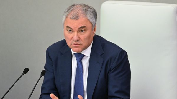 Председатель Госдумы Вячеслав Володин