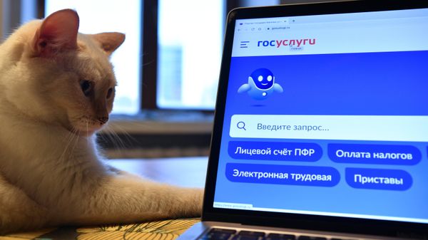 Портал Госуслуги