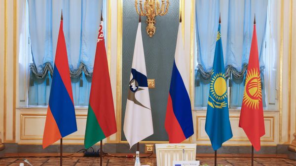 Заседание ВЕЭС под председательством президента РФ В. Путина