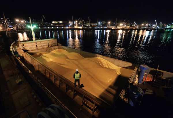 Поставки зерна морем Поставки зерна морем