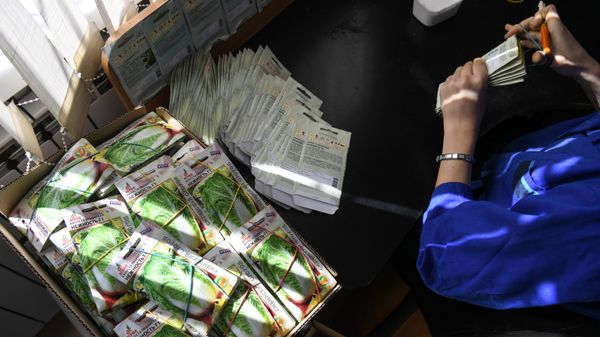 Фасовка семян