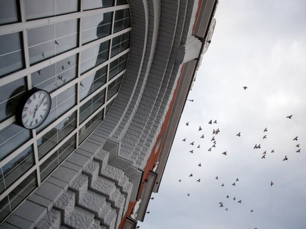 Последствия атаки украинского беспилотника на ж/д вокзал в Курске, 20 августа 2023 года