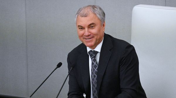 Председатель Государственной Думы РФ Вячеслав Володин