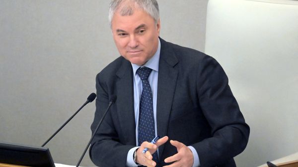 Председатель Государственной Думы РФ Вячеслав Володин