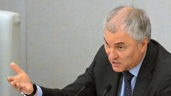 Председатель Государственной Думы РФ Вячеслав Володин