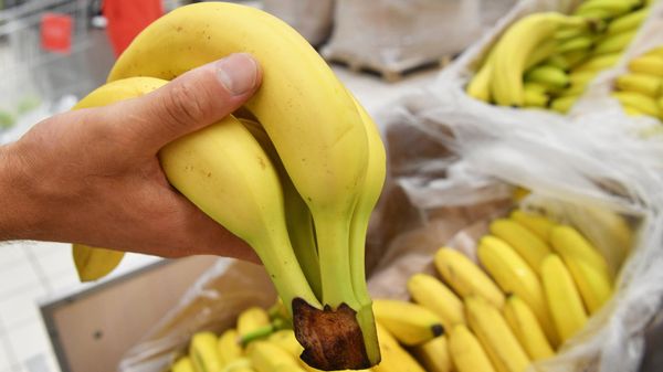 Продажа бананов