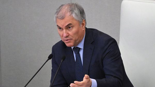 Вячеслав Володин