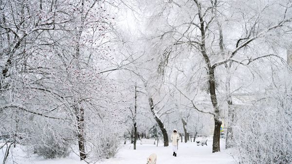 Новосибирск