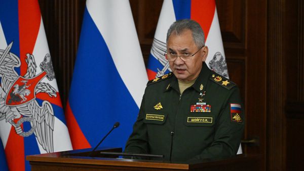 Министр обороны РФ Сергей Шойгу