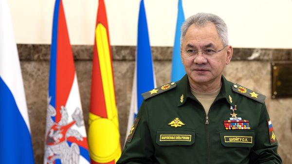 Министр обороны РФ С. Шойгу принял участие в акции Елка желаний