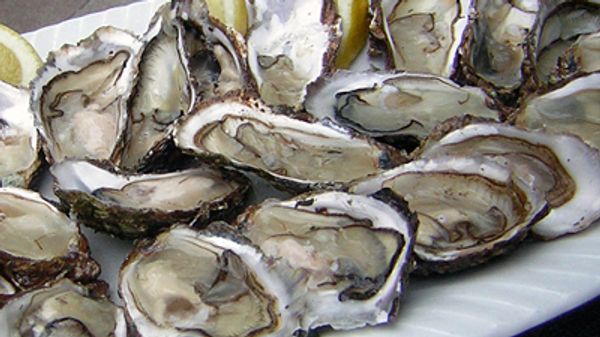 Устрицы Marennes d'Oleron запрещены к продаже