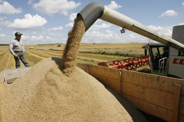 РСХБ за 9 месяцев увеличил вознаграждение правлению на 57% - до 115,8 млн руб