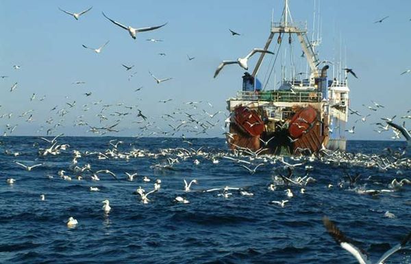 Вылов водных биоресурсов рыбаками РФ